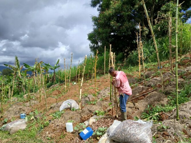 Vivre durablement au Nord de la Martinique : un mode de vie ancré dans la nature